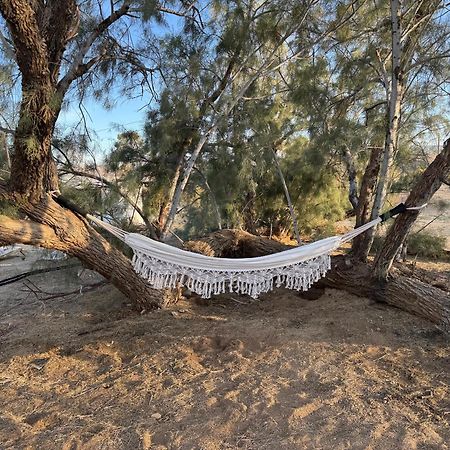 Casa Agave: Comfy Joshua Tree Cottage With Free Breakfast Bar ภายนอก รูปภาพ