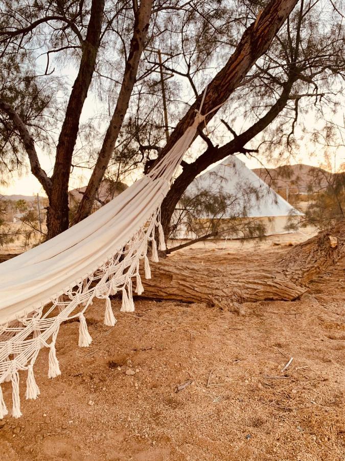 Casa Agave: Comfy Joshua Tree Cottage With Free Breakfast Bar ภายนอก รูปภาพ
