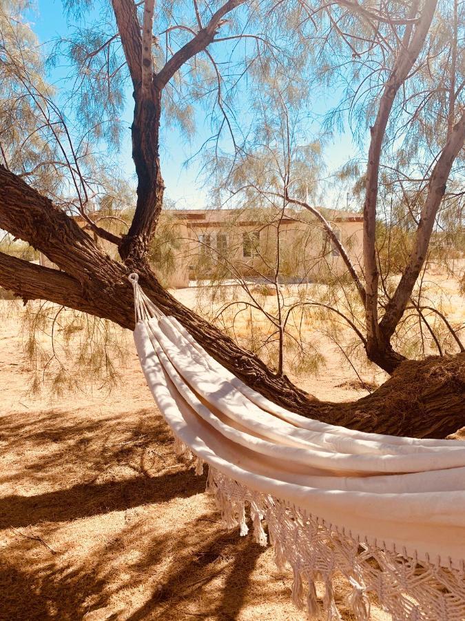 Casa Agave: Comfy Joshua Tree Cottage With Free Breakfast Bar ภายนอก รูปภาพ