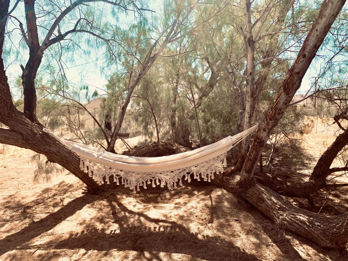 Casa Agave: Comfy Joshua Tree Cottage With Free Breakfast Bar ภายนอก รูปภาพ