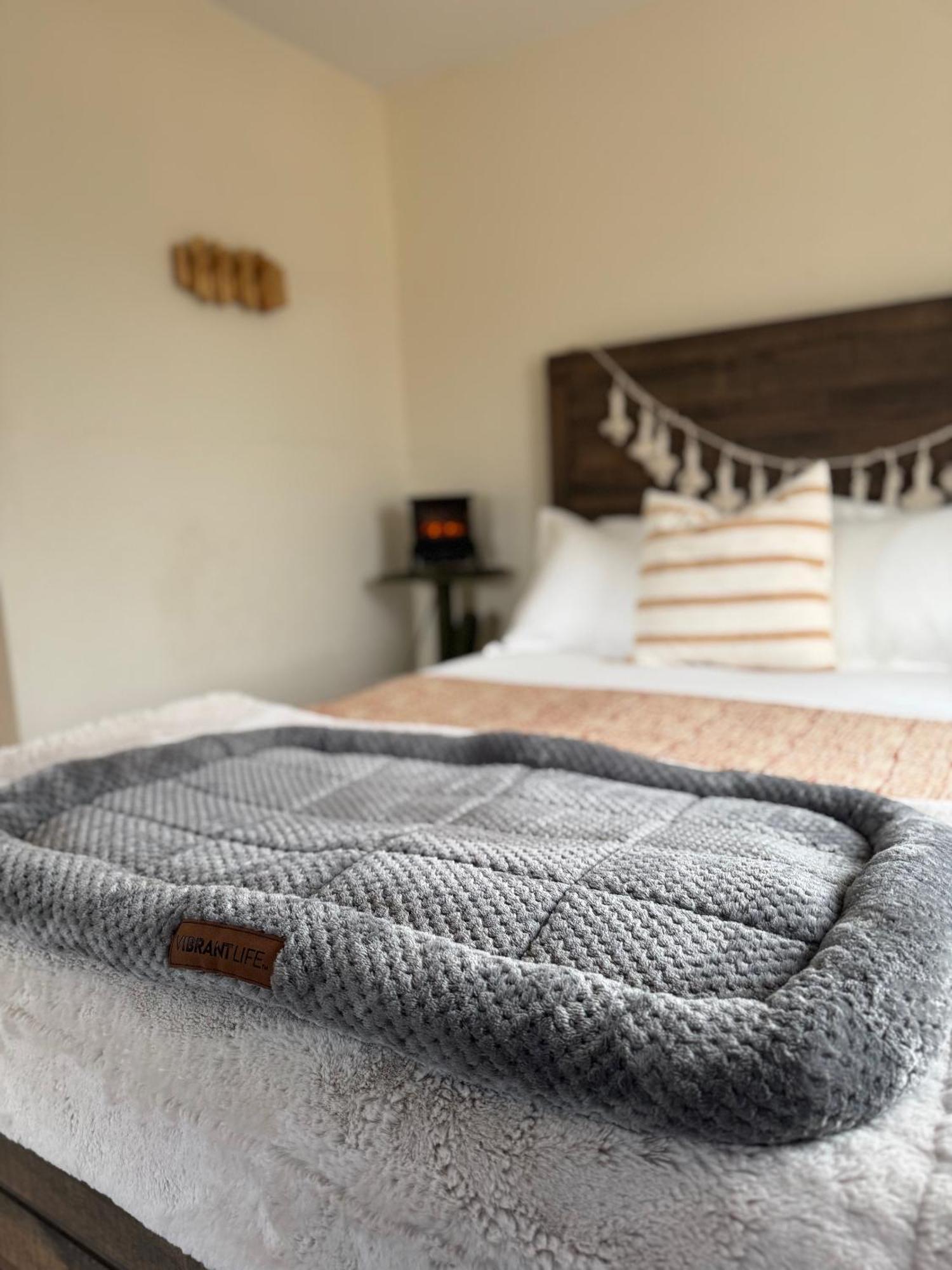 Casa Agave: Comfy Joshua Tree Cottage With Free Breakfast Bar ภายนอก รูปภาพ