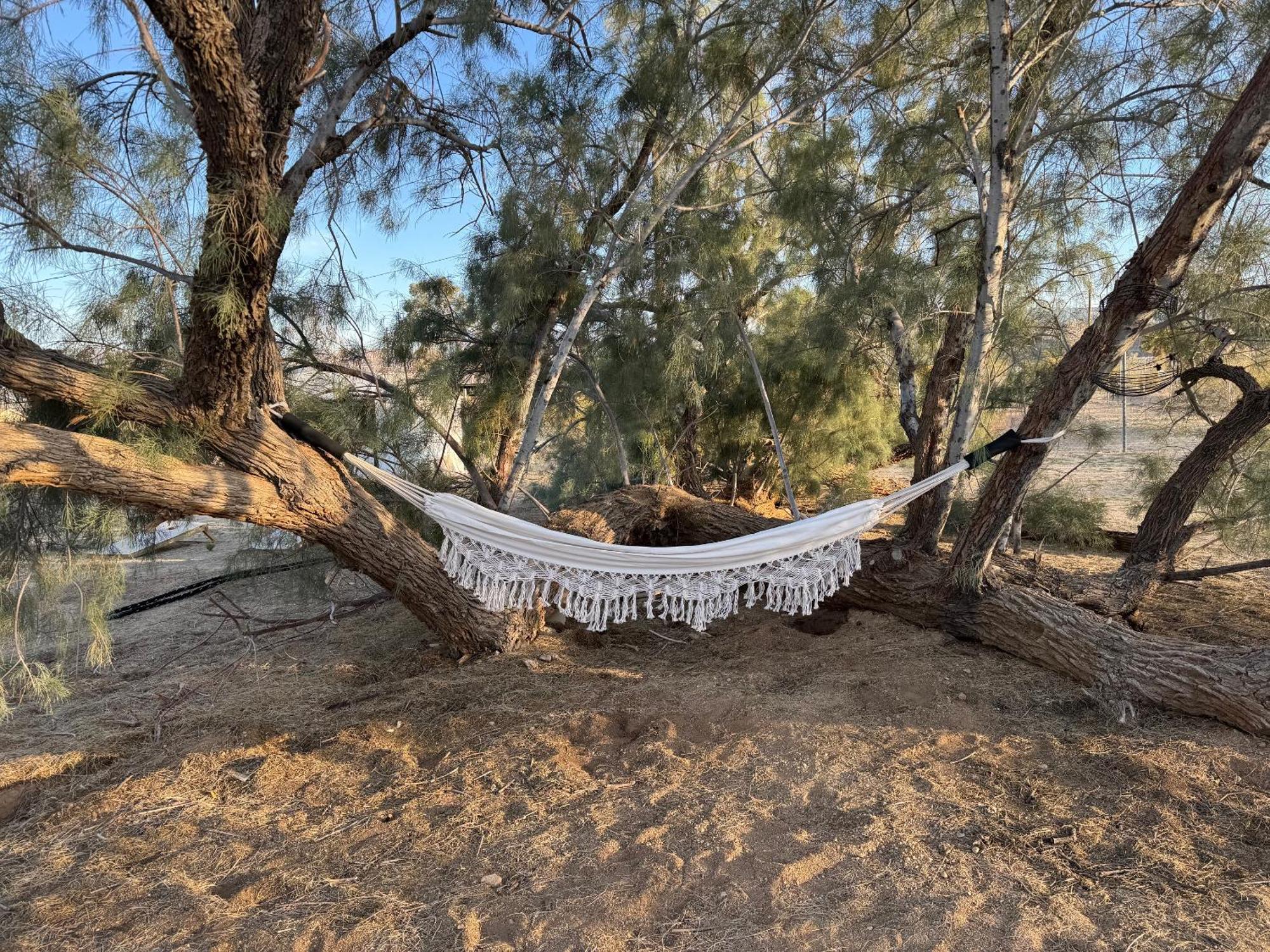 Casa Agave: Comfy Joshua Tree Cottage With Free Breakfast Bar ภายนอก รูปภาพ